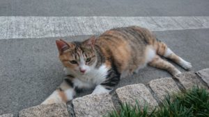快適な生活のバランス